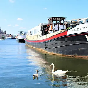 uygunluğu kontrol et