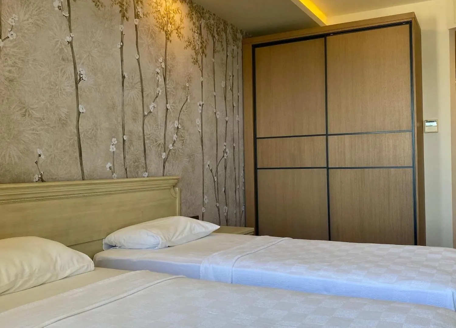 פאטהיה Hotel Mutlu 2*,